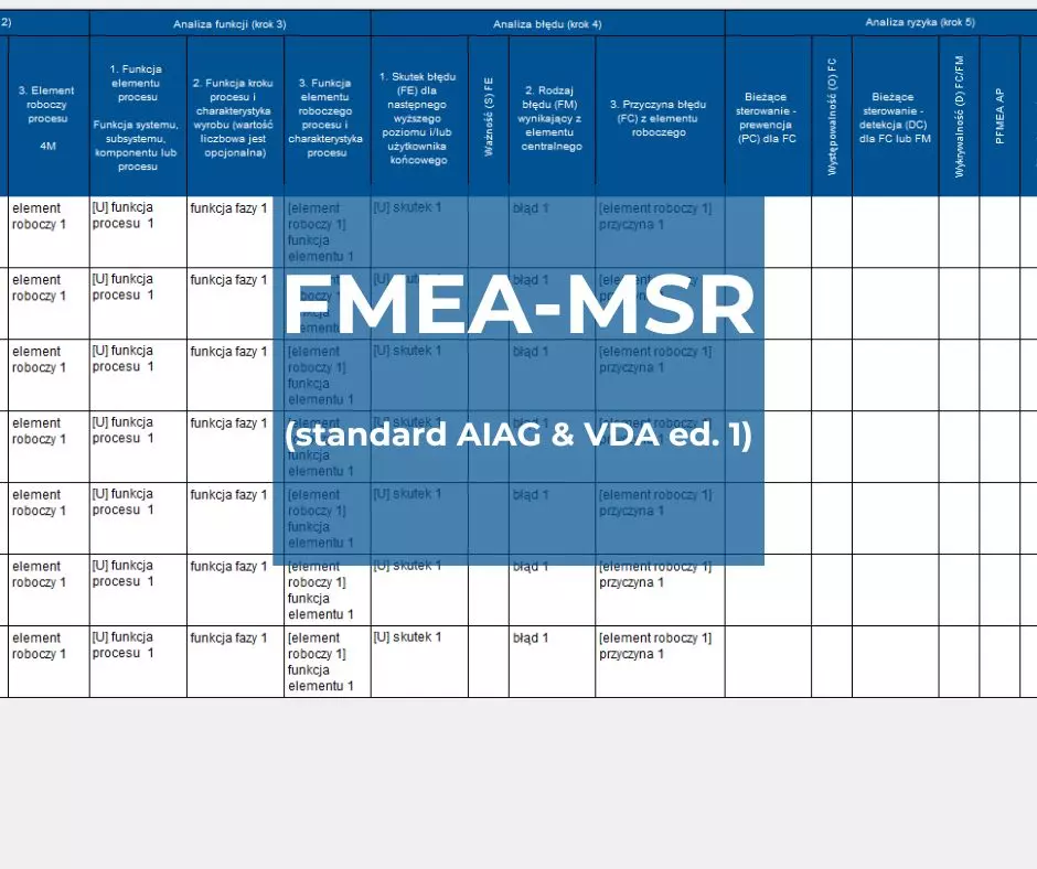 FMEA-MSR (standard AIAG & VDA ed. 1)